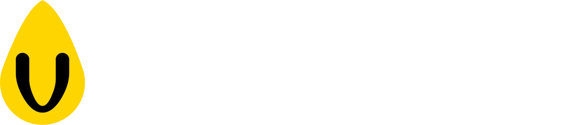 Verendus — We Empower Dealerships